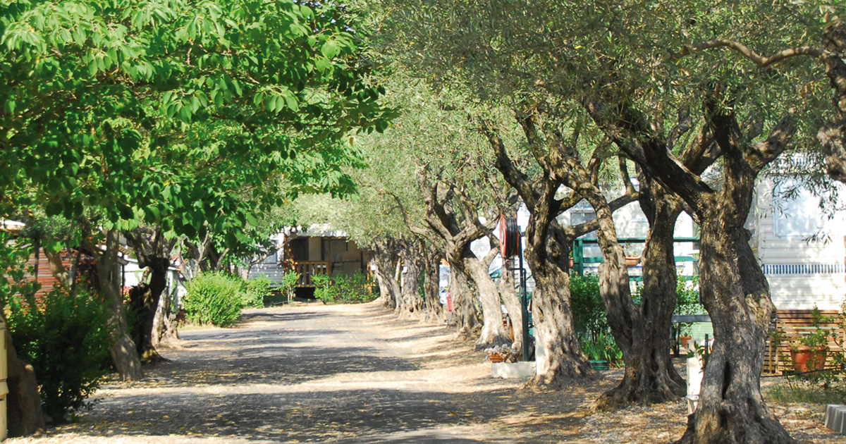 Camping Hortes Loisirs