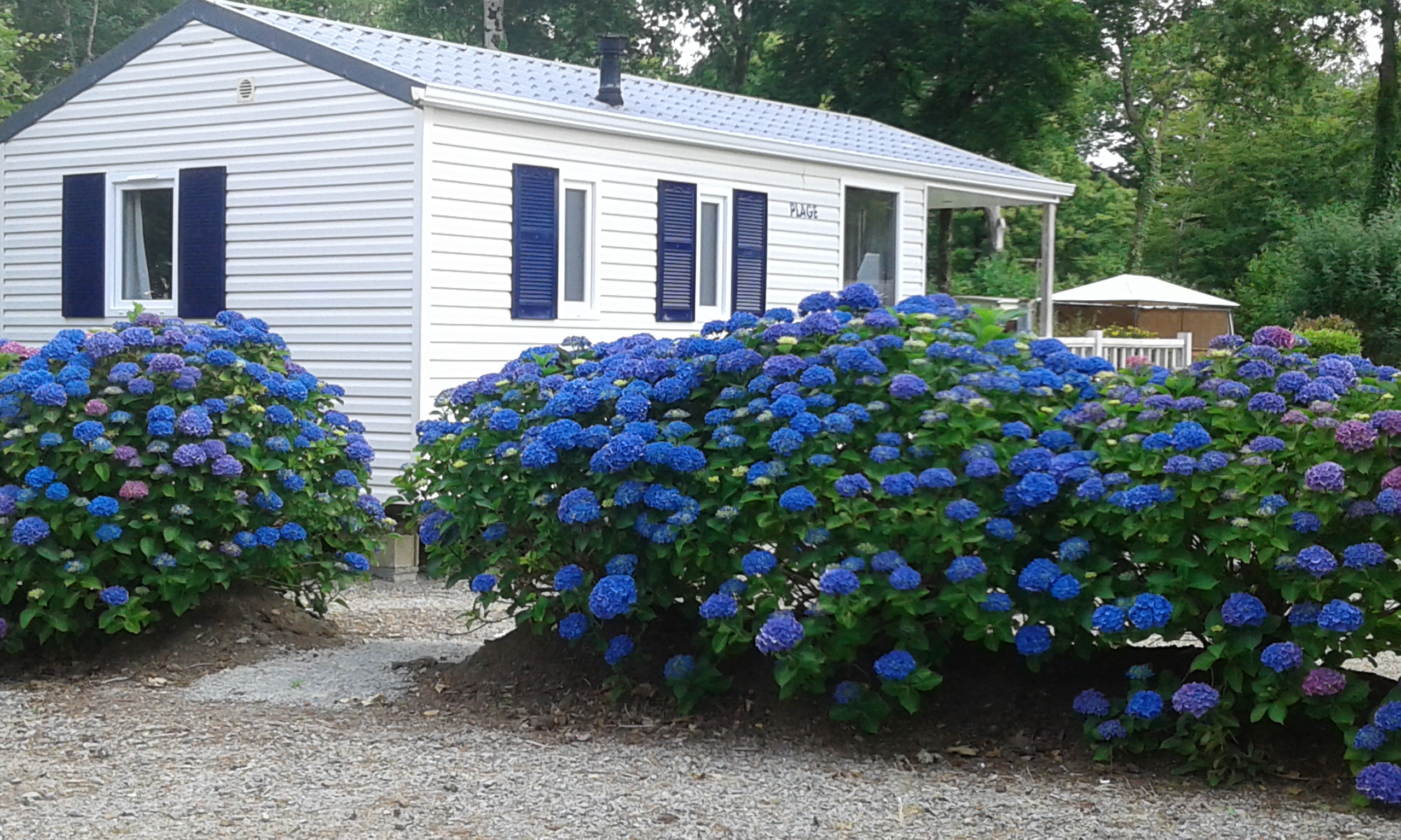Camping Les Myrtilles