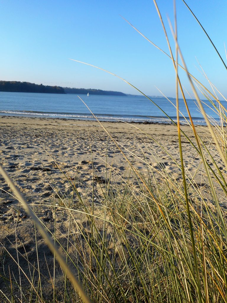Camping Municipal La Manchette