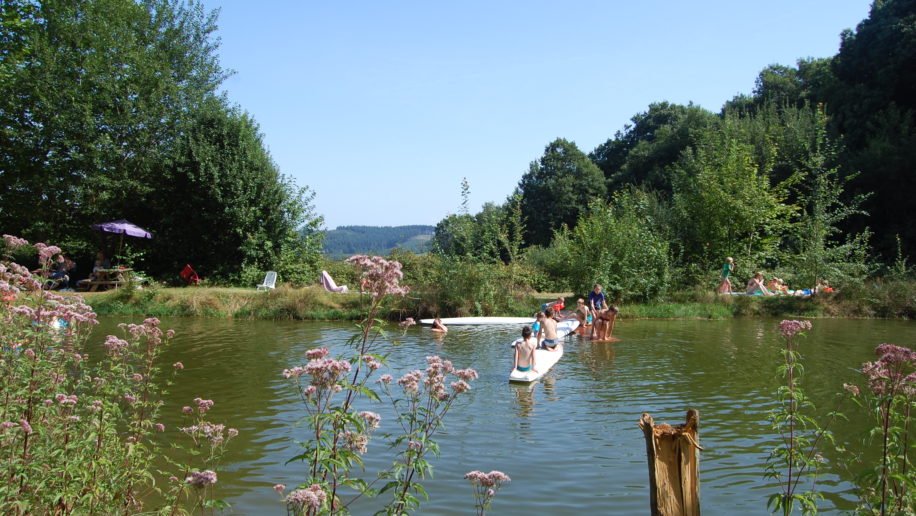 La forêt du Morvan