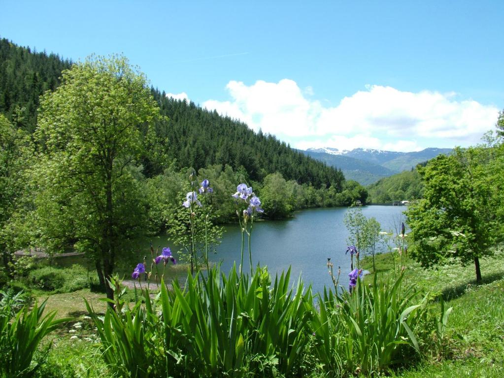 Camping Ascou La Forge