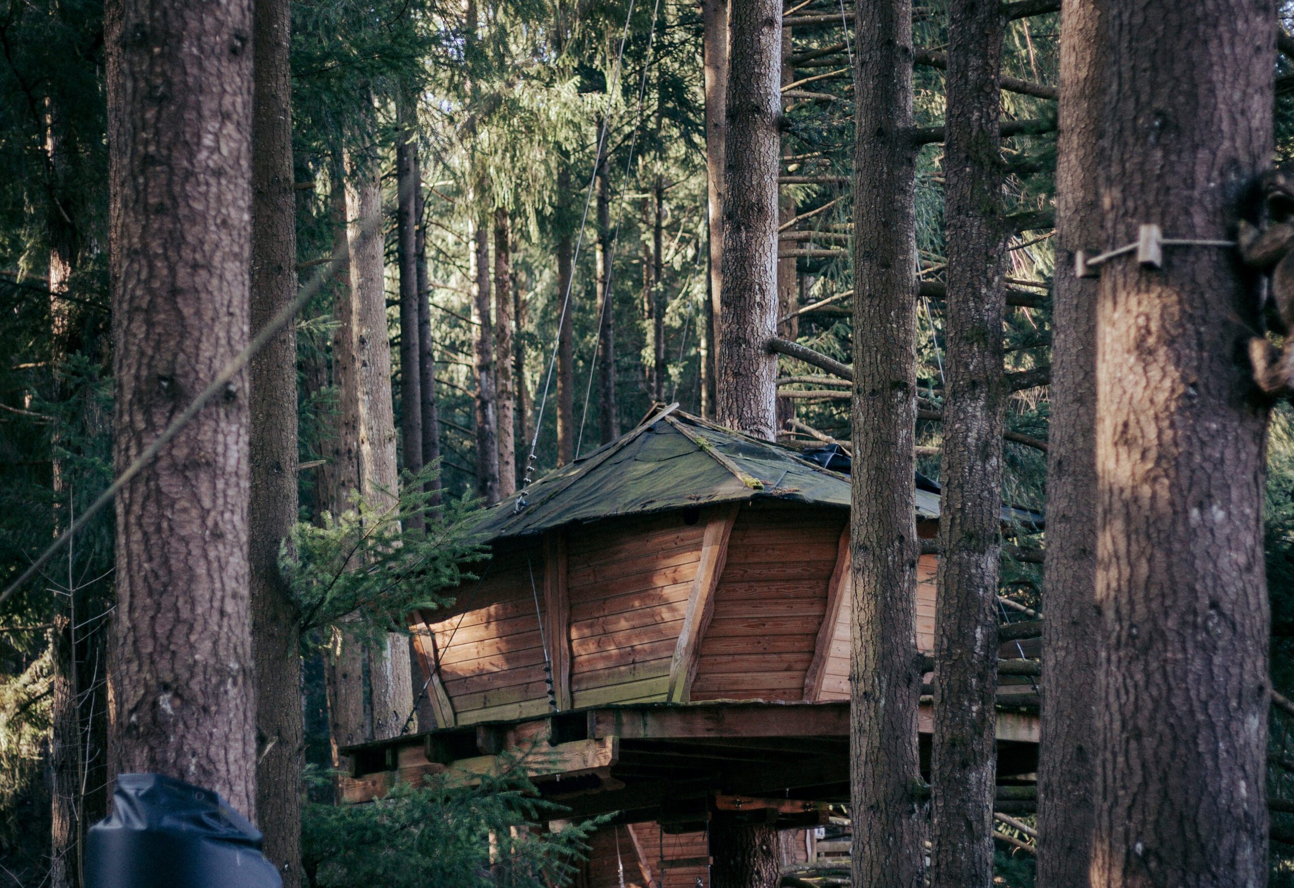 Camping Le Village des Cabanes Perchees du Lac des Sapins