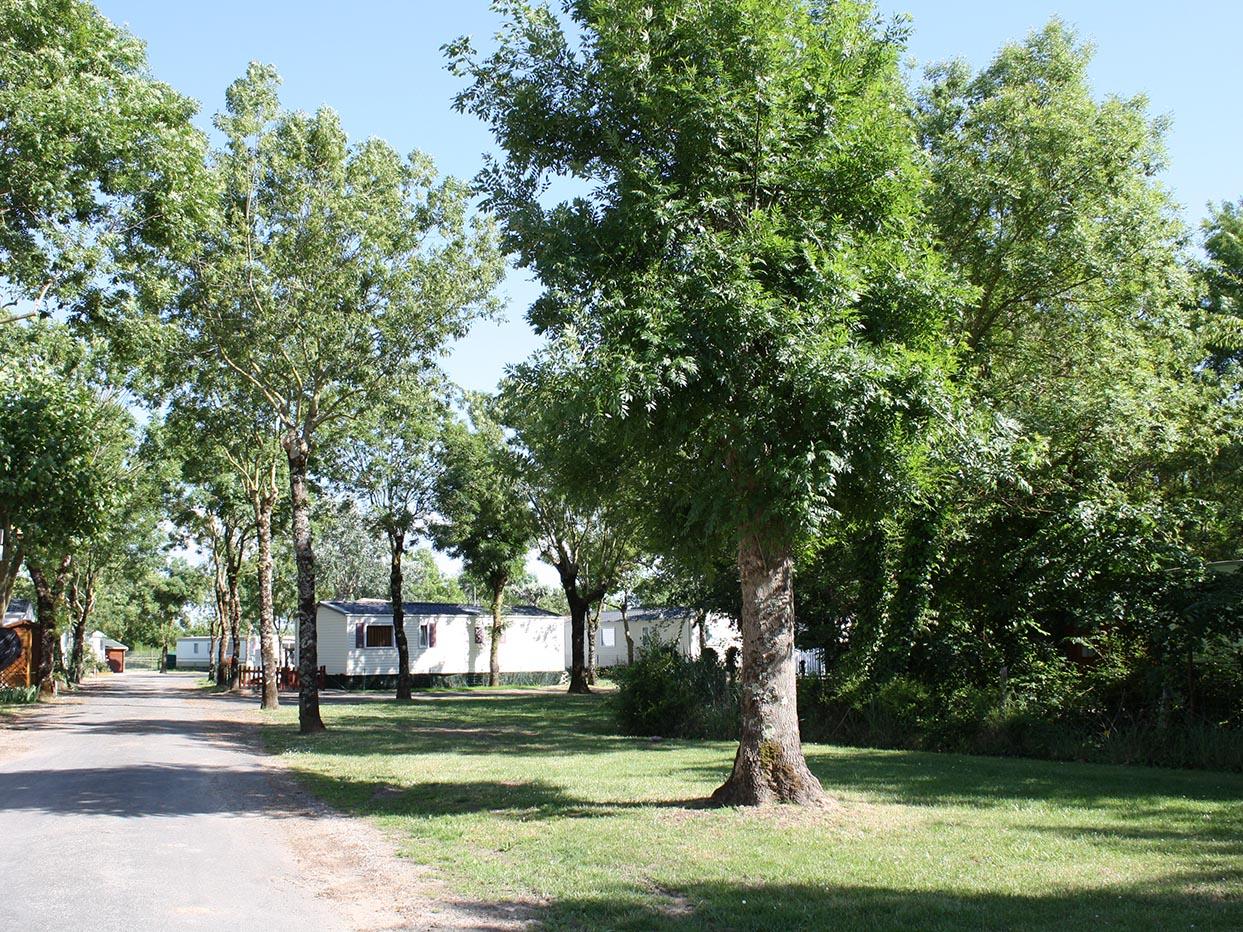 Camping Ribes