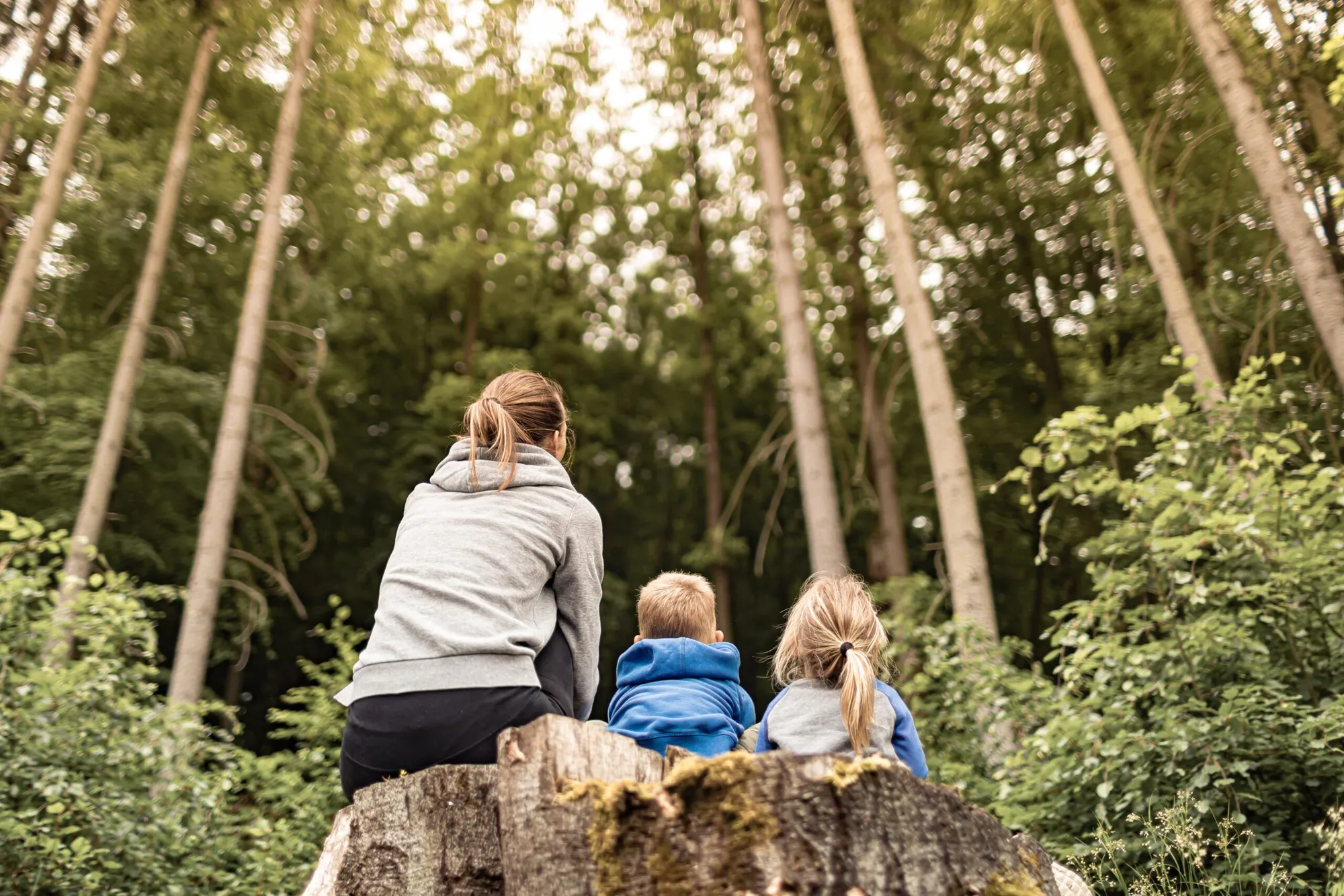 Camping Natur'Camp