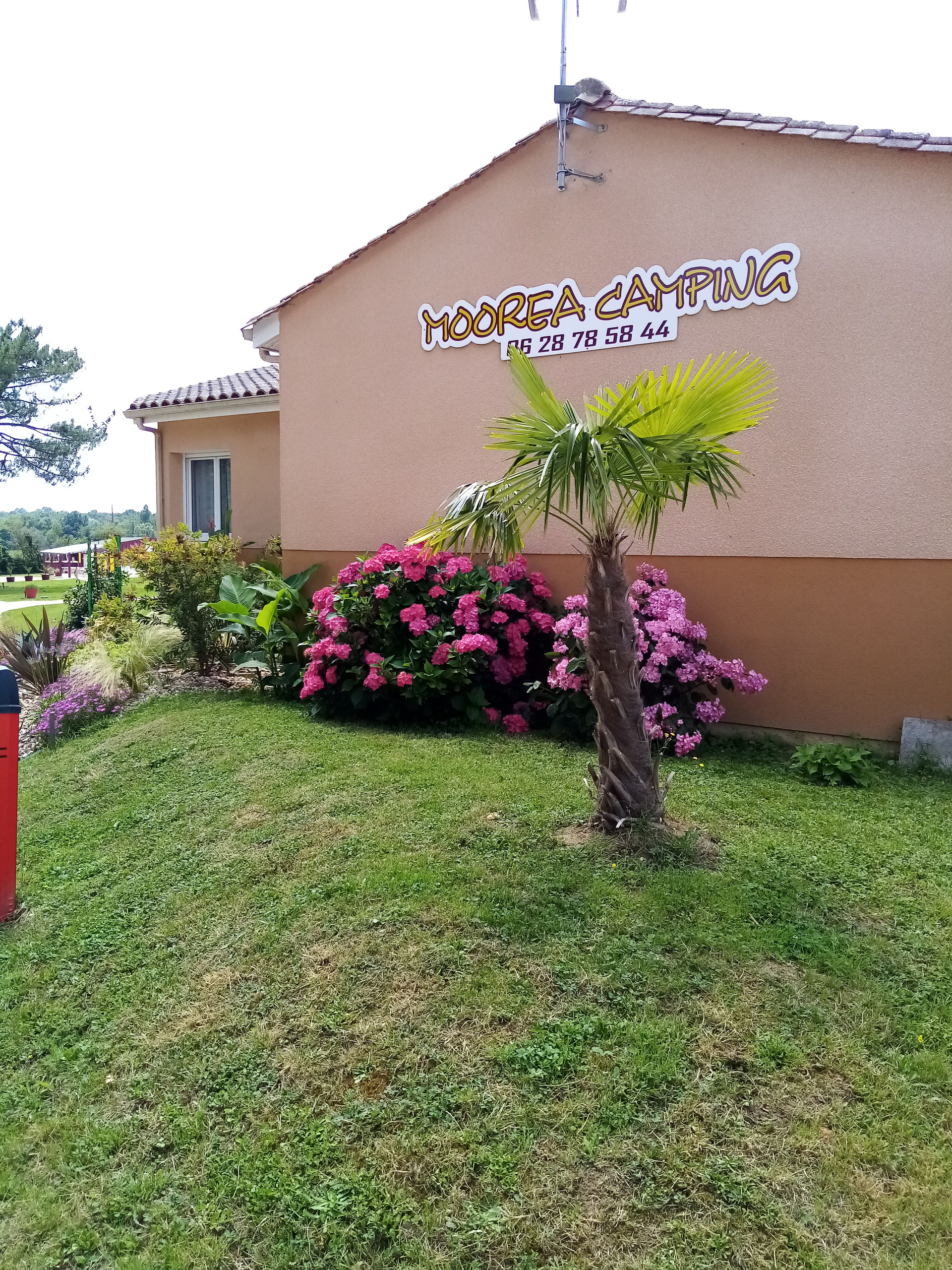 Camping Moorea