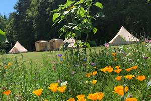 Eco-Glamping "Au Pré Fleuri"