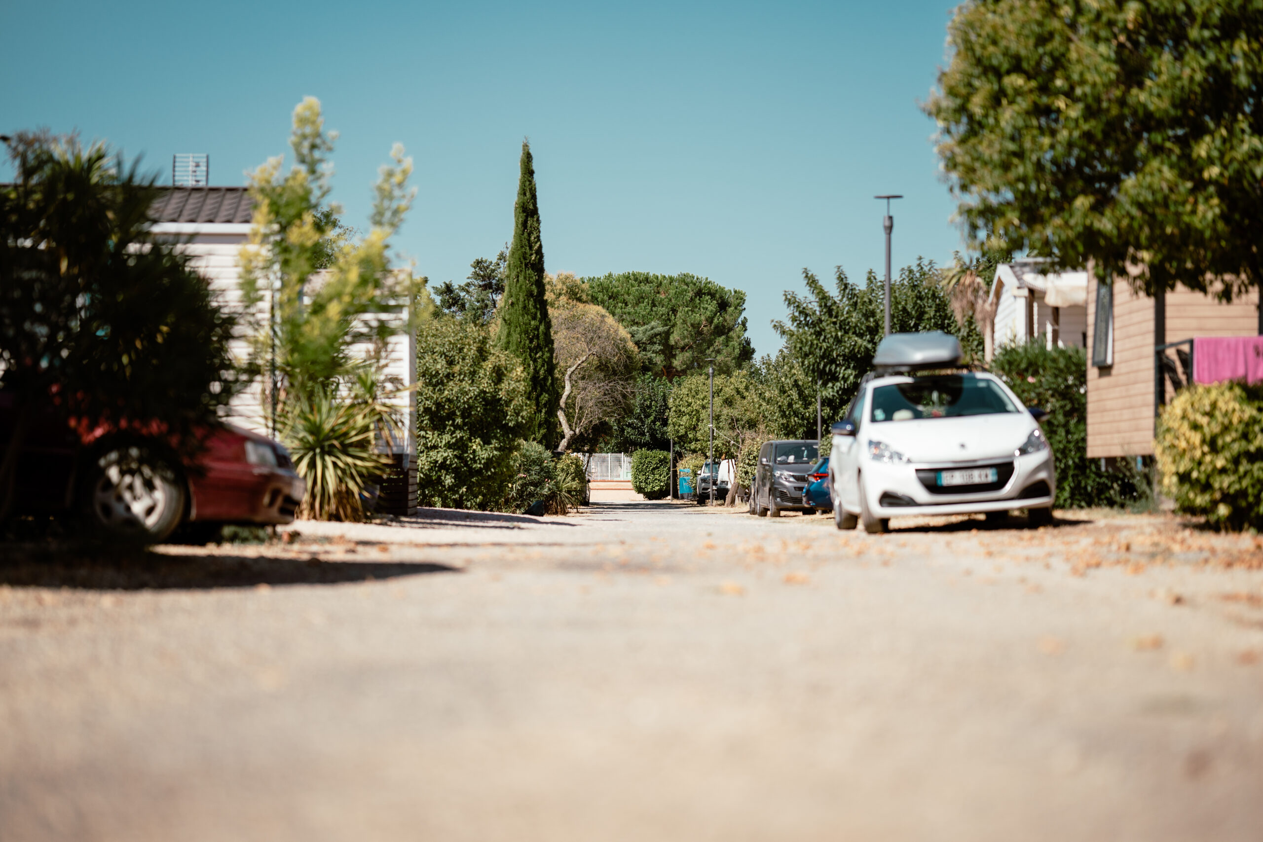 Camping Bellevue en Camargue