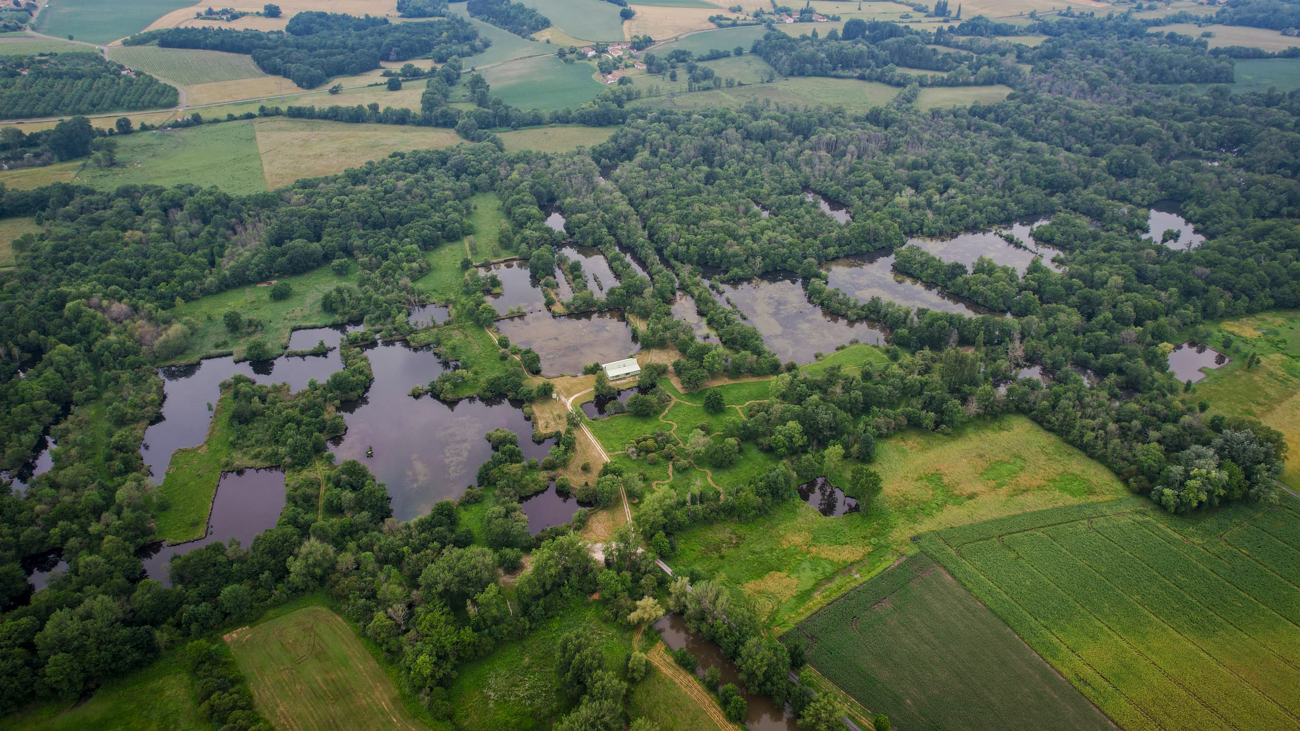 Camping Le Petit Lion des Tourbières