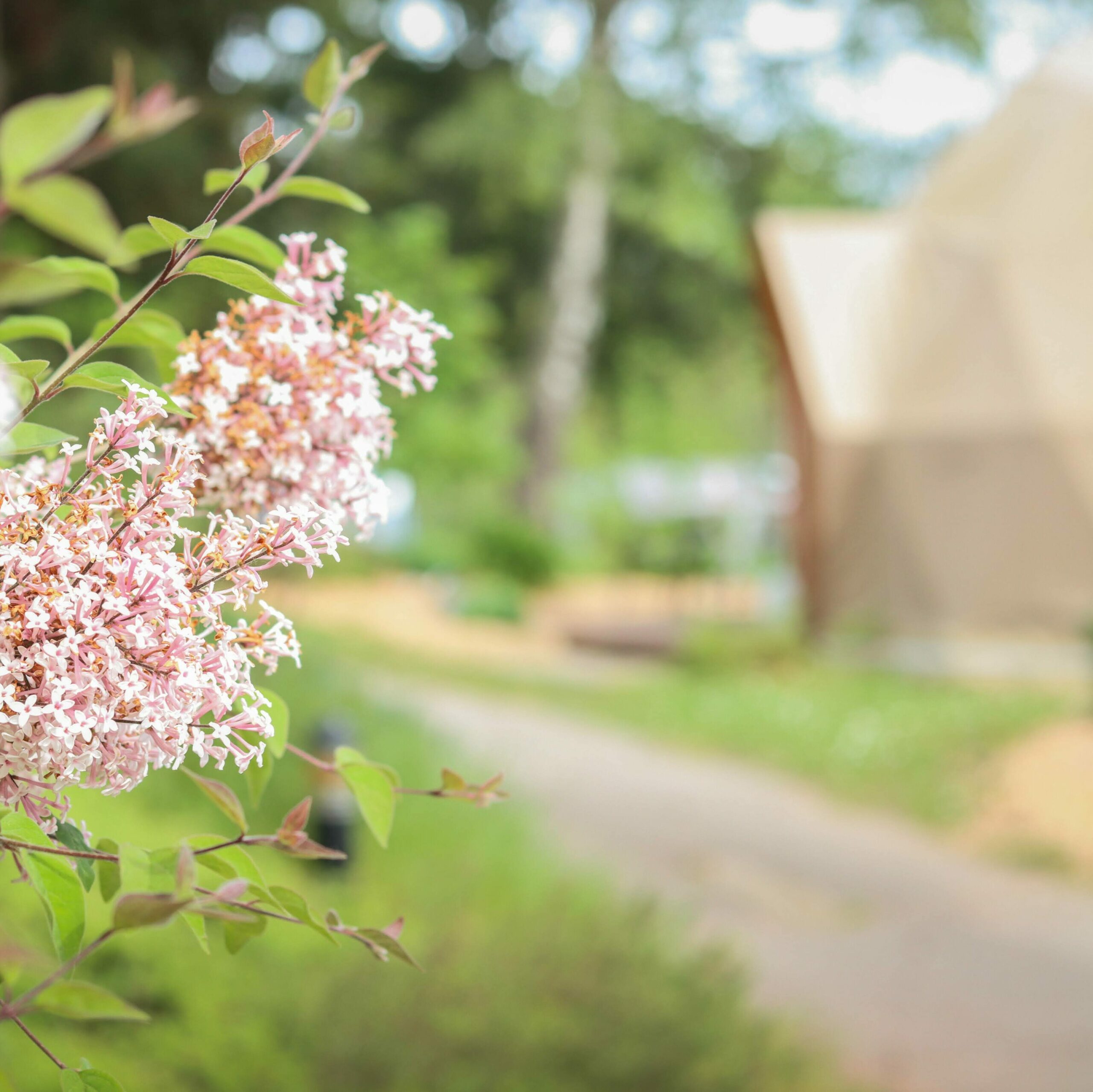 Camping Le Domaine du Heidenkopf