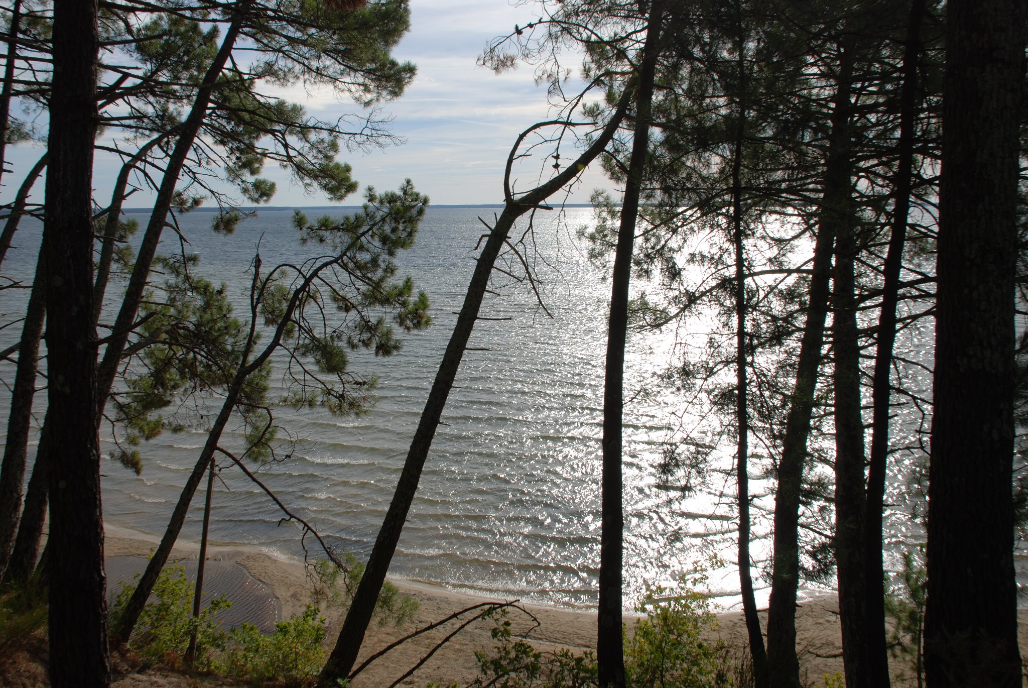 Camping Seasonova Lac de Cazaux