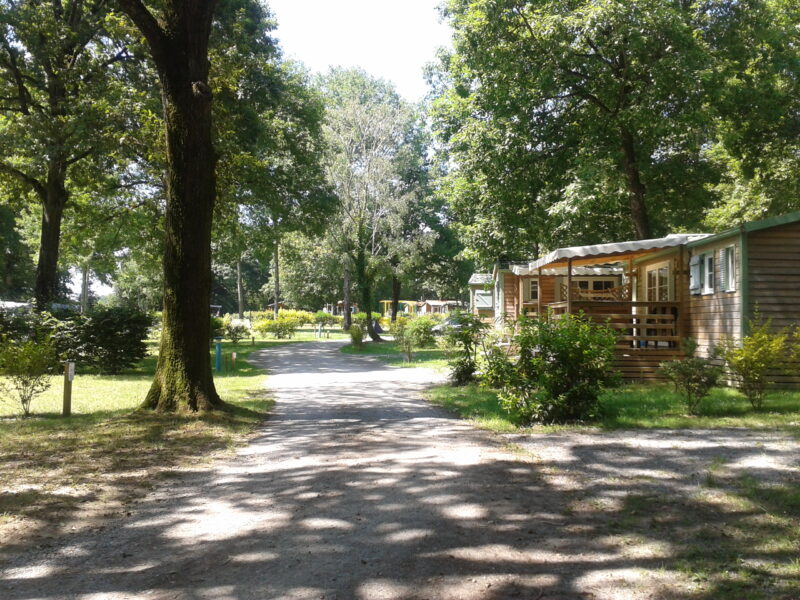 Camping Oaki