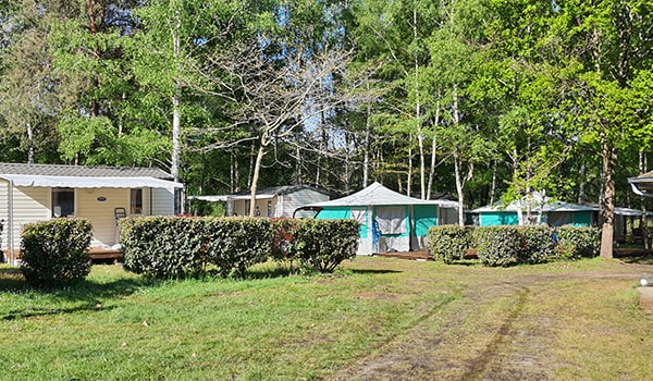 Camping des Terebinthes