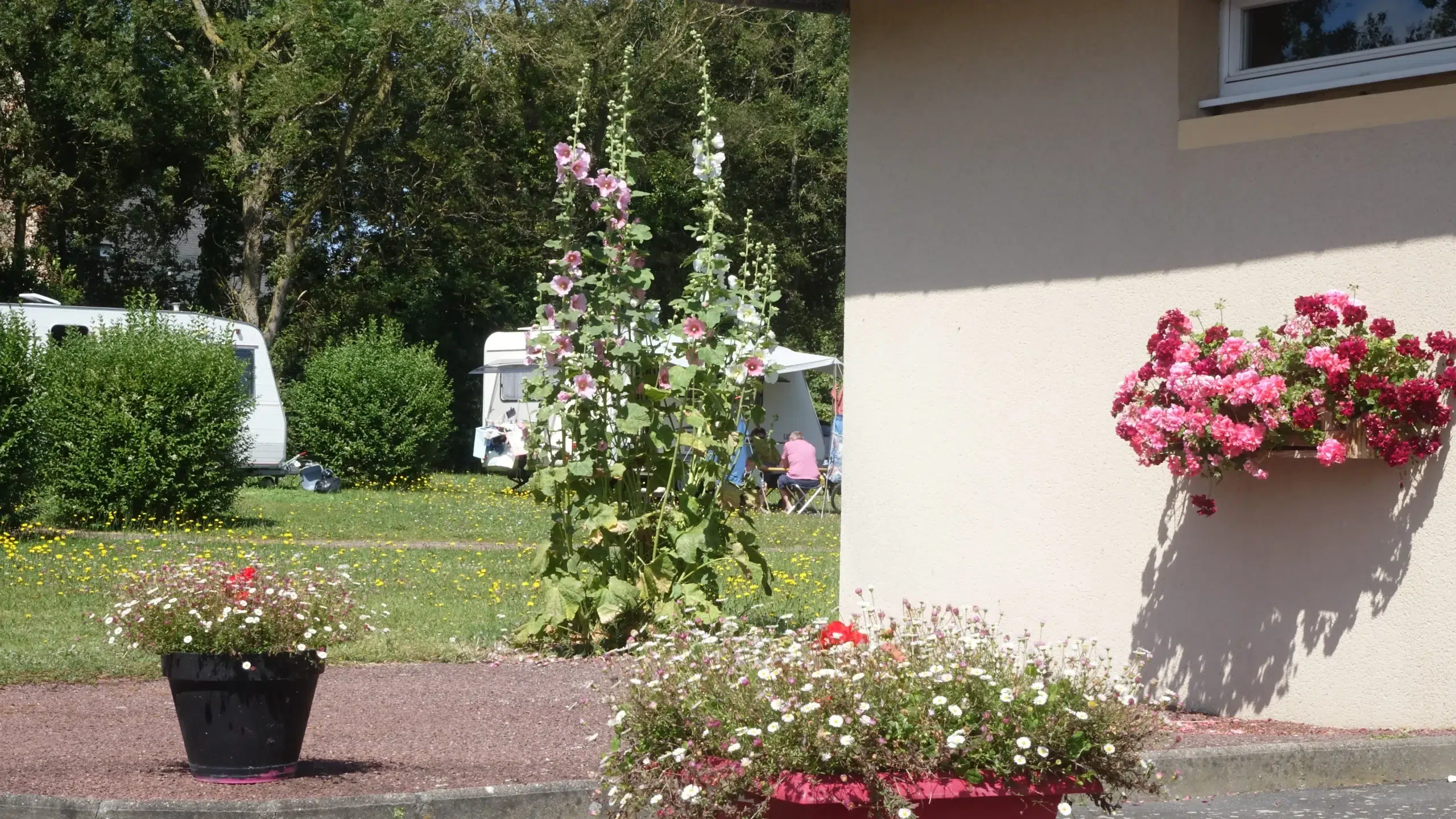 Camping Gcu Grandcamp-Maisy