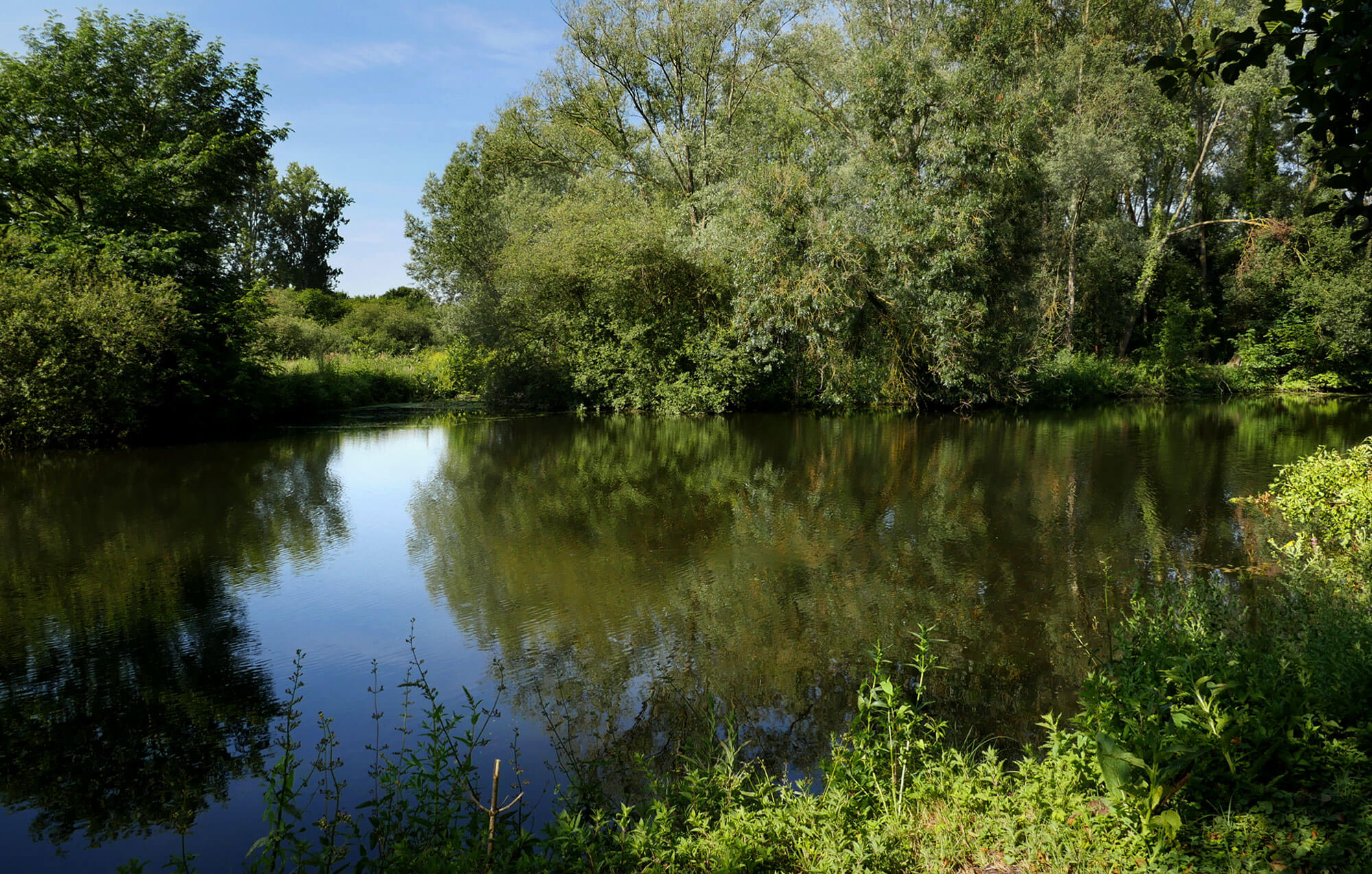 Camping des Cygnes
