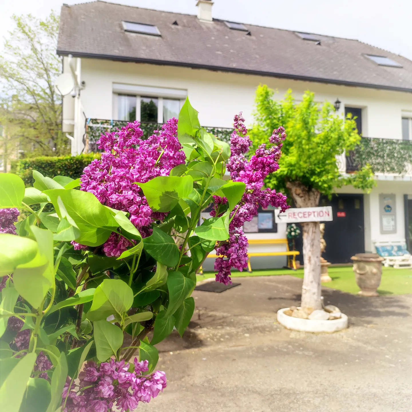 Camping Le Vieux Berger