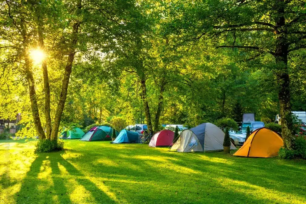Camping Paradis Les Chanterelles